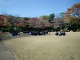 昼食は北の丸公園