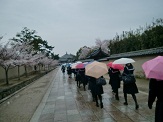 雨が降り出しました