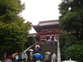 雨の鶴岡八幡宮