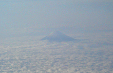 雲海から顔を出す富士山です