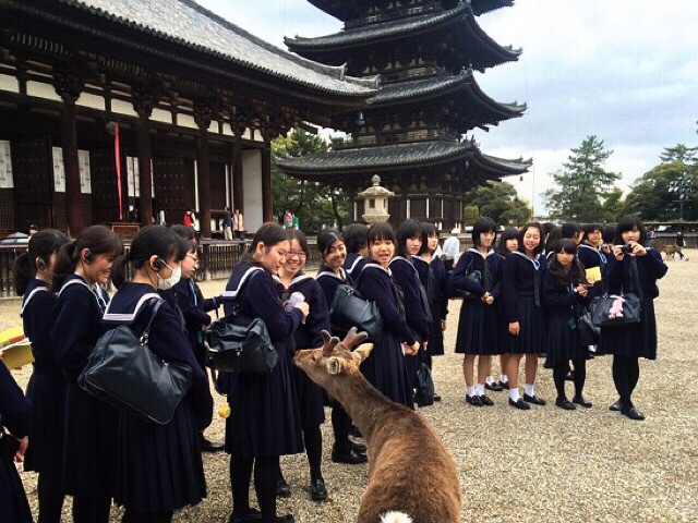 興福寺