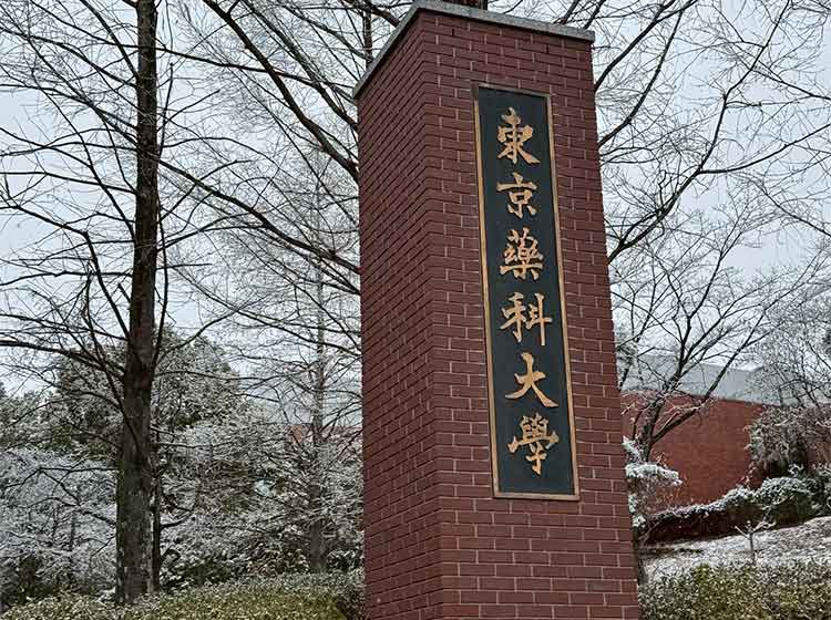 中高理化部　泥電池から発電菌の微生物を単離する