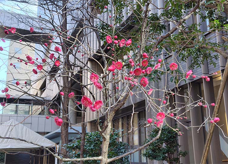 最後までがんばった皆さんへ