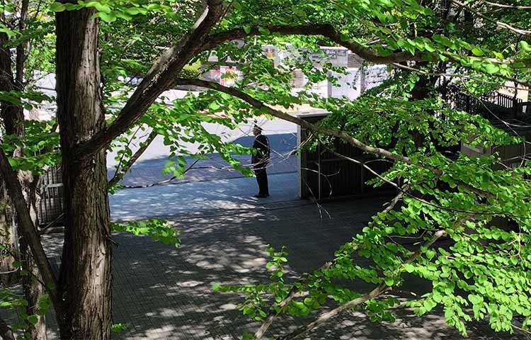 先輩になるということ