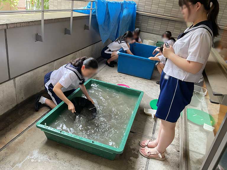 【理化部】砂金堀り大会に出場します